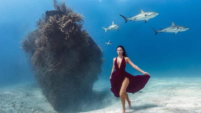 Une femme en robe au fond de la mer, entourée de requins. 