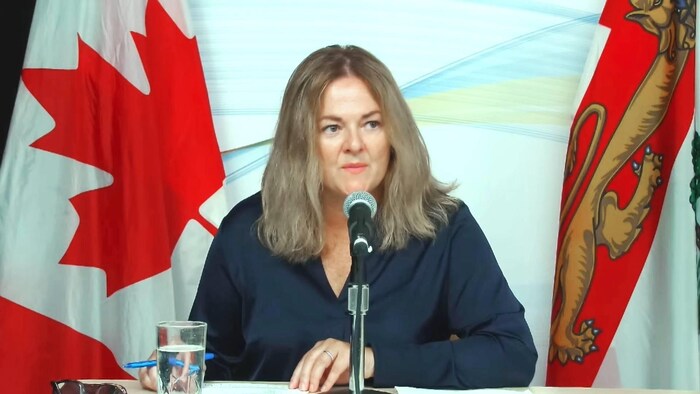 Kim Griffin est assise à une table, devant un micro. Elle a des documents devant elle et tient un stylo. En arrière-plan, il y a un drapeau du Canada et un drapeau de l'Île-du-Prince-Édouard.