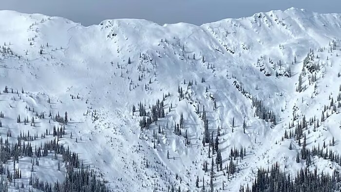 Flanc de montagne présentant un risque d'avalanche.