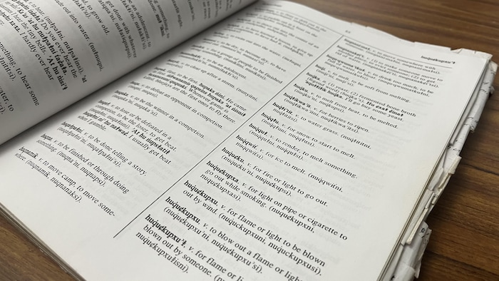 Une page de dictionnaire.