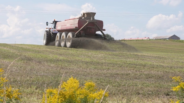 Un tracteur fait l'épandage de fumier liquide dans un champ.