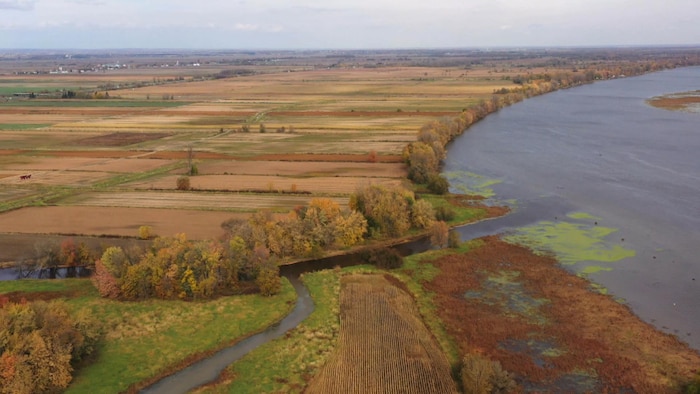 Des terres agricoles longeant le lac St-Pierre.