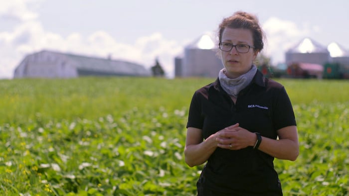 Etats-Unis : les mauvaises herbes zombies pullulent dans les champs d'OGM