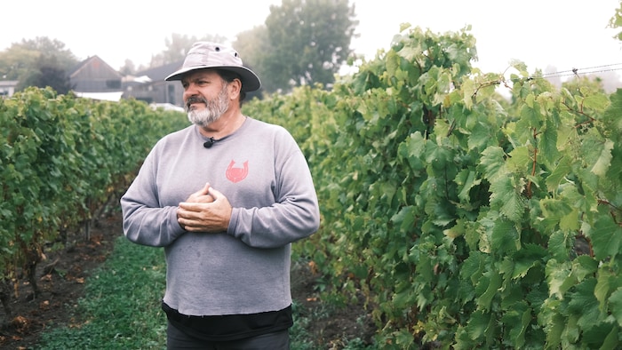 Un homme dans un vignoble.
