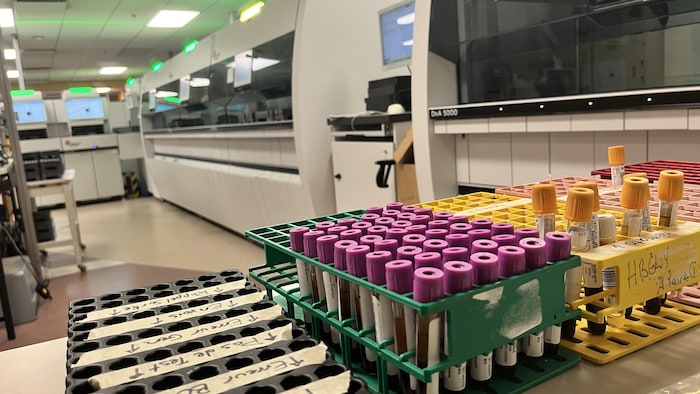 Des éprouvettes dans un laboratoire.