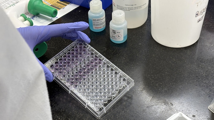 Du matériel dans un laboratoire. 