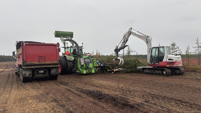 Labrecque Un agriculteur de Labrecque qui cumule les démêlés judiciaires brigue ...