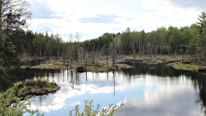Vue sur un lac.