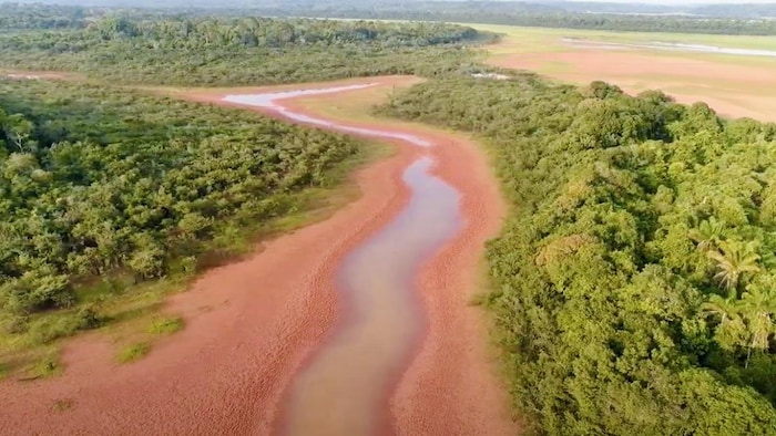 Des portions du lac Batata sont toujours d'un rouge alarmant.