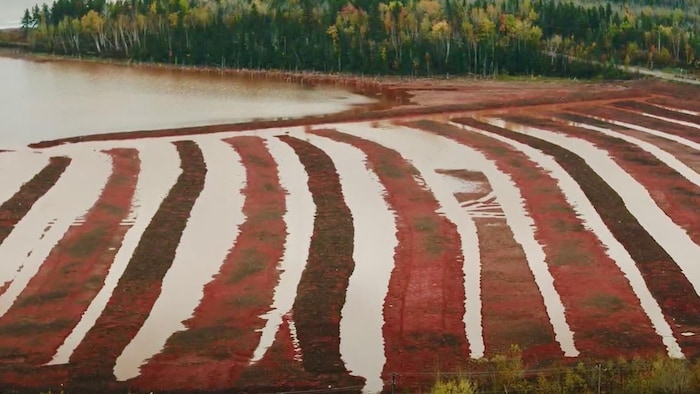 Le lac de boues rouges toxiques de Laterrière.