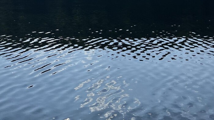 Un lac en Estrie.