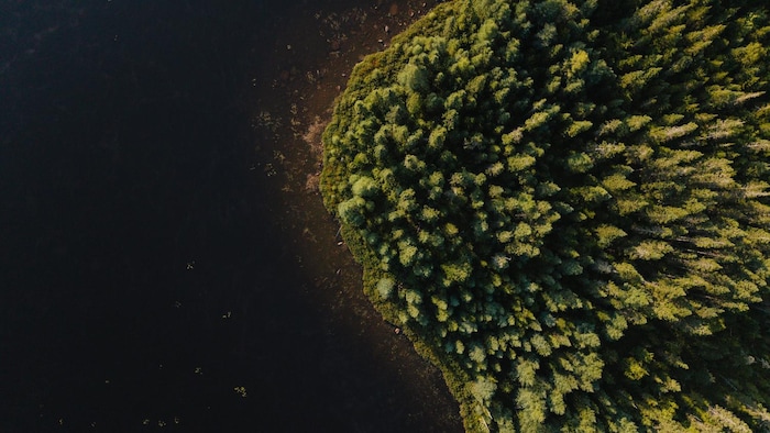 Vue aérienne d'un lac et d'une forêt.