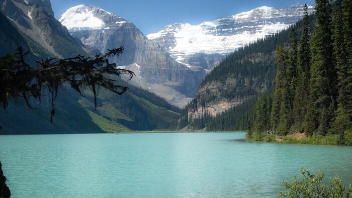 Un lac entouré de montagnes et de grands sapins. 