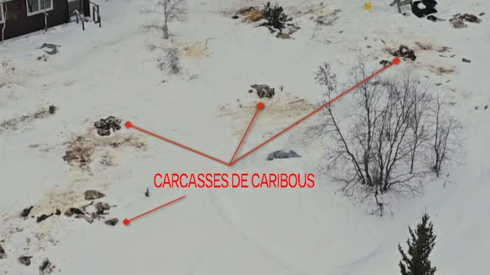 Une representation prise du ciel d'un sentier enneigé taché de brun et de formes difficilement reconnaissables.