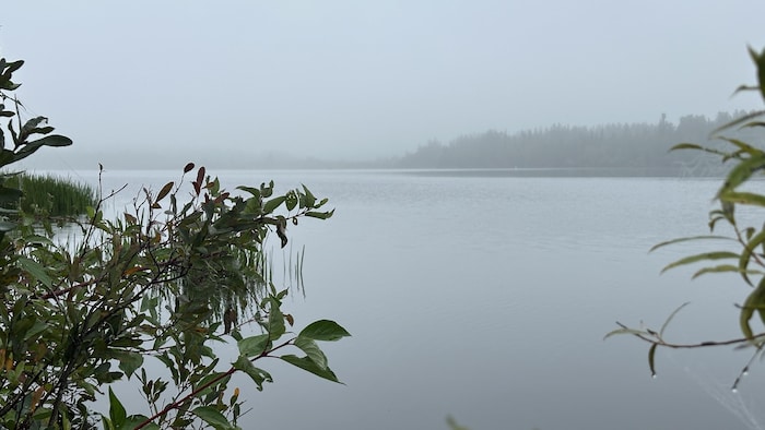 Un lac dans la brume