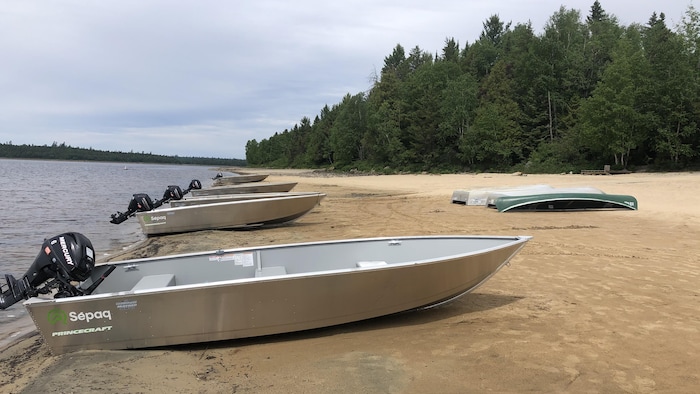 Des chaloupes à moteur sur une plage au bord d'un lac.