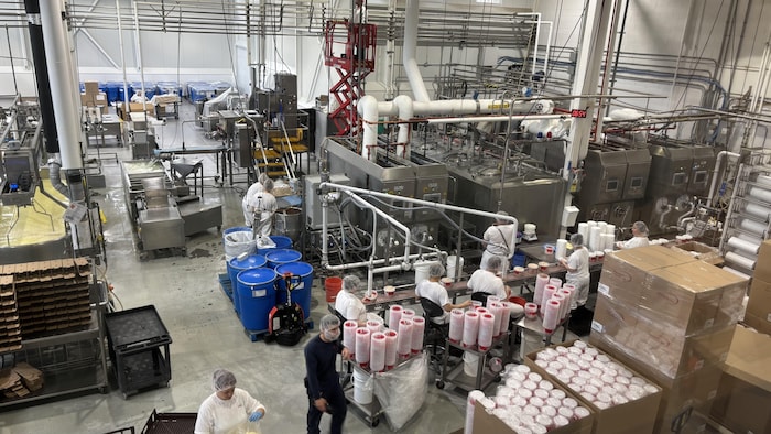 La chaîne de production de crème glacée