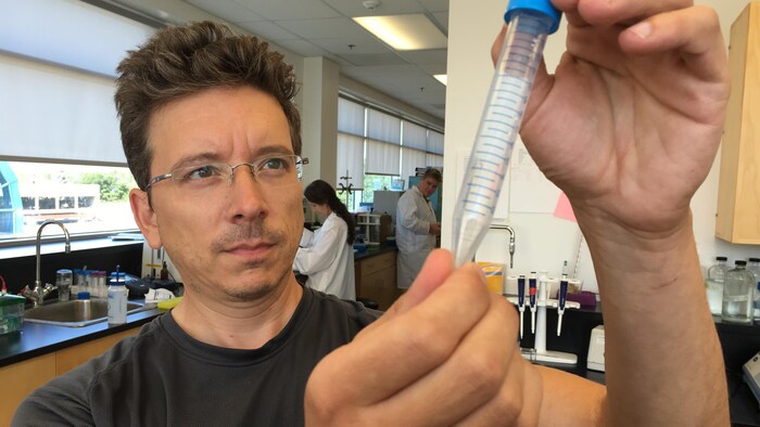 Simon Lamarre examine le contenu d'une éprouvette dans un laboratoire.