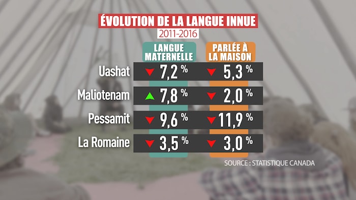 L'évolution de la langue innue entre 2011 et 2016.