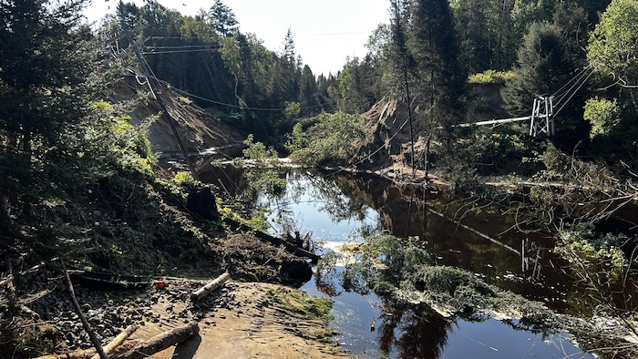 Des arbres et poteaux électriques tombés, dans une cravasse causée par la montée du niveau d'un ruisseau.