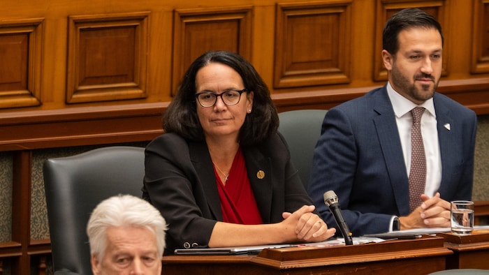 Les députés Lee Fairclough et Rob Cerjanec sont assis côte à côte lors de la période de questions à Queen’s Park, à Toronto.