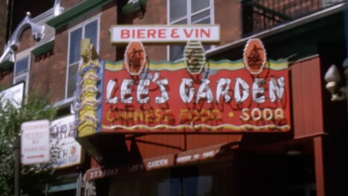 当年纪录片中出现的李家园。