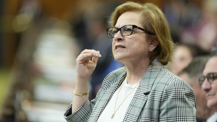 La ministre de l'Immigration, Lena Diab, durant une période de question au Parlement à Ottawa.