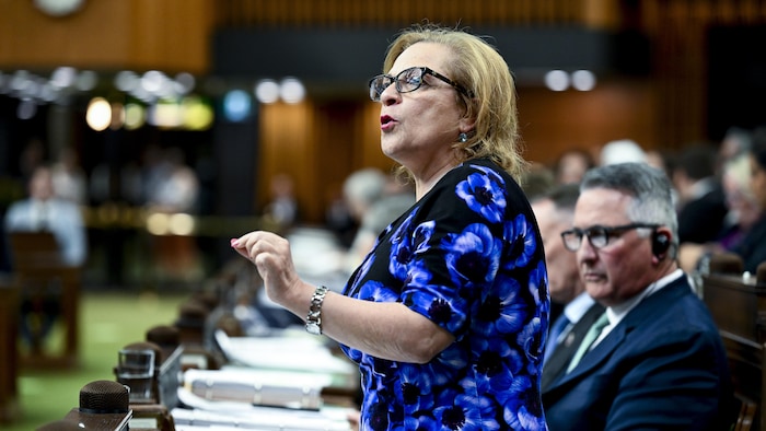 Lena Diab prend la parole pendant la période de questions à Ottawa, le 27 mai 2026.