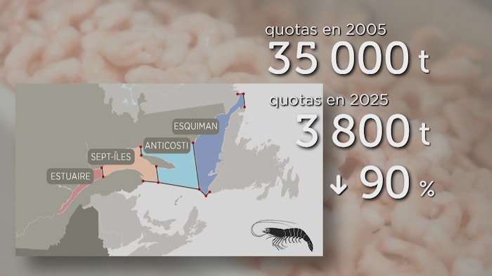 Une carte détaillant les quotas de crevettes nordiques en 2005 et en 2025.