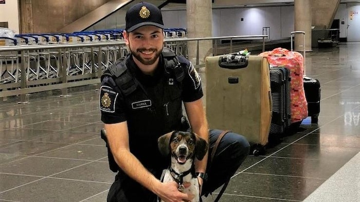 Un homme et un chien dans un aéroport