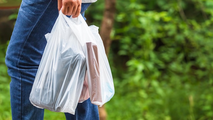 Toujours pas de réglementation pour les sacs en plastique à usage unique à  Trois-Rivières