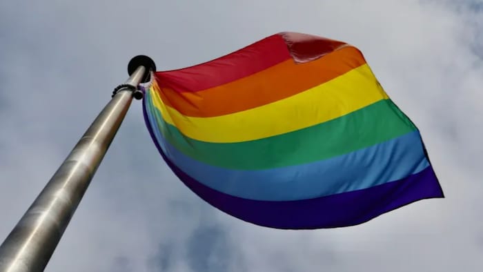 Le drapeau LGBTQ+. 