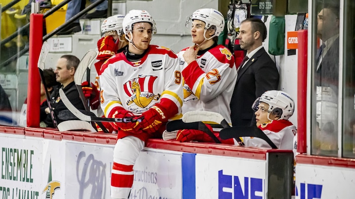 Des joueurs de hockey derrière la bande d'une patinoire pendant un match.