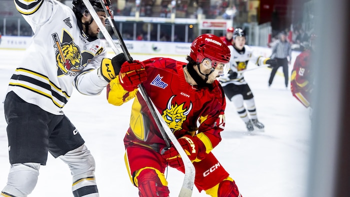 Le Drakkar dompte les Tigres de Victoriaville | Radio-Canada