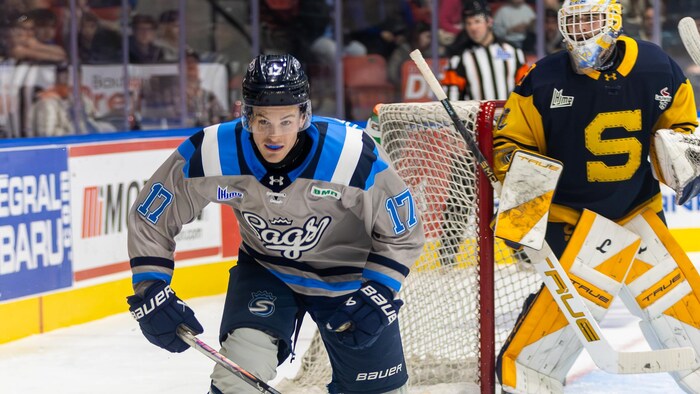 Deux joueurs de hockey en action.