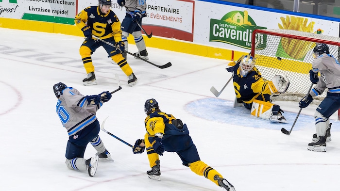 Des joueurs de hockey en action près du filet.