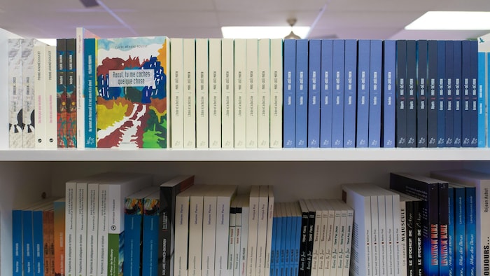 Des livres posés sur deux étagères.