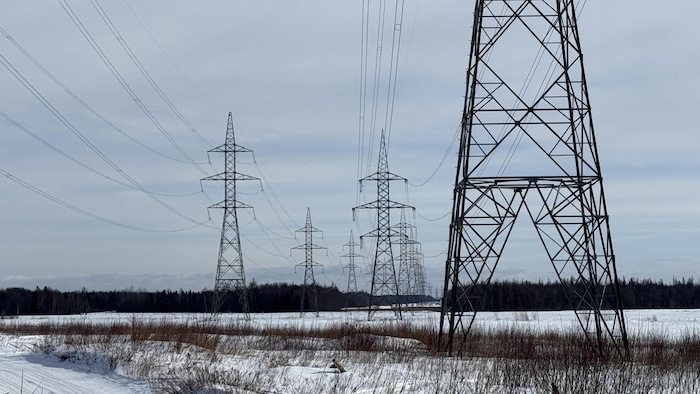 Une ligne à haute tension avec des pylônes électriques.