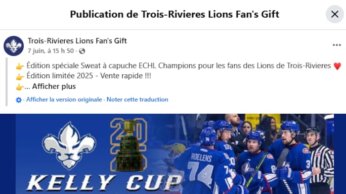Une capture d'écran d'une page qui vend de la marchandise aux couleurs des Lions.