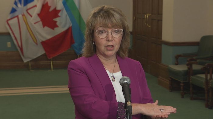 Lisa Dempster, députée de Cartwright L’Anse au Clair au parti libéral de Terre-Neuve-et-Labrador s'adressant aux médias.