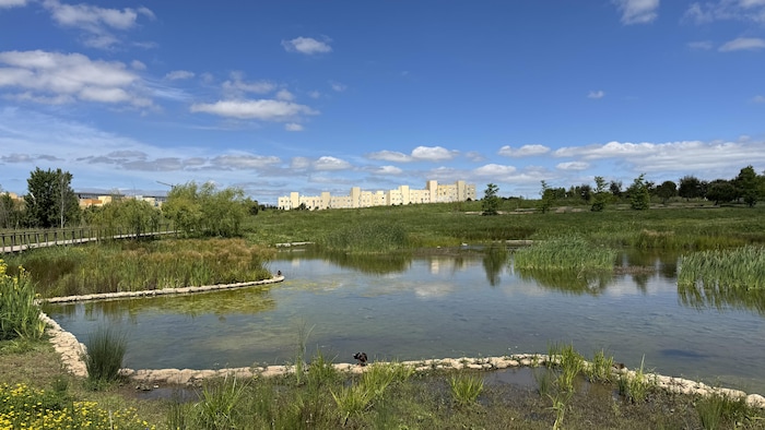 L'un des parcs éponges de Lisbonne.