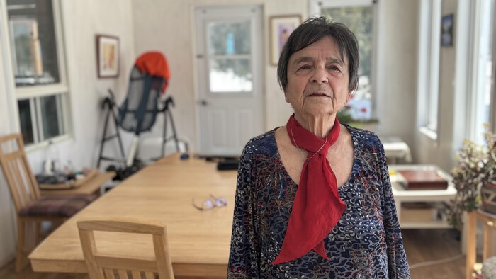 Une femme dans sa cuisine.