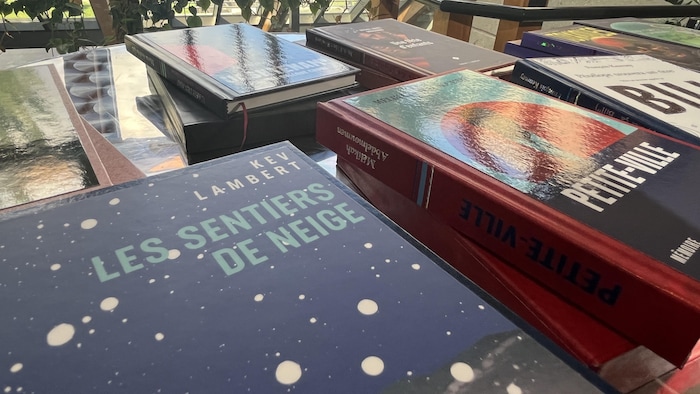 La couverture du livre Les sentiers de neige de Kev Lambert.