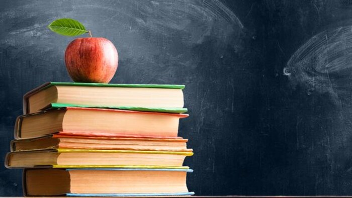 Un tableau noir et des livres sur lesquels trône une pomme.