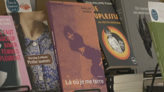 Des livres sont exposés dans une librairie. 