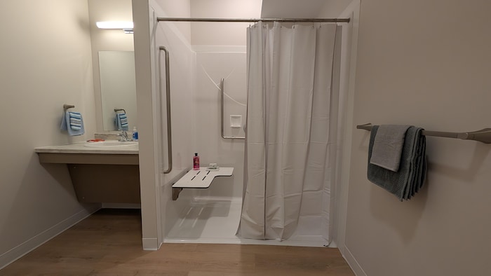 Un évier et une douche.