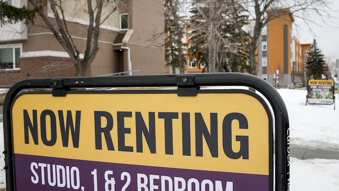 Deux affiches offrant des logements à louer.