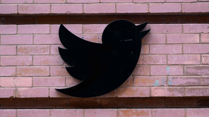 Le logo de Twitter sur un mur de brique.