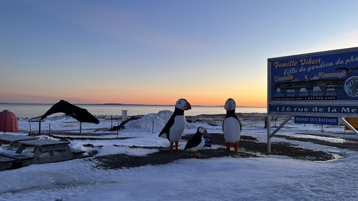 Des statues de macareux sur la plage de Longue-Pointe-de-Mingan, l'hiver.