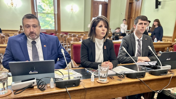 Lori Clark assise derrière un micro lors de sa comparution devant le Comité permanent des comptes publics.